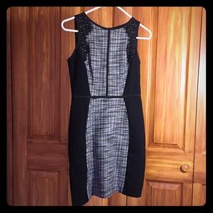 NWT Loft dress